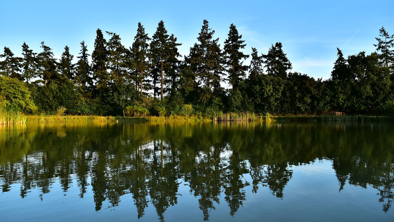 Photo of Outdoor in Challain-la-Potherie