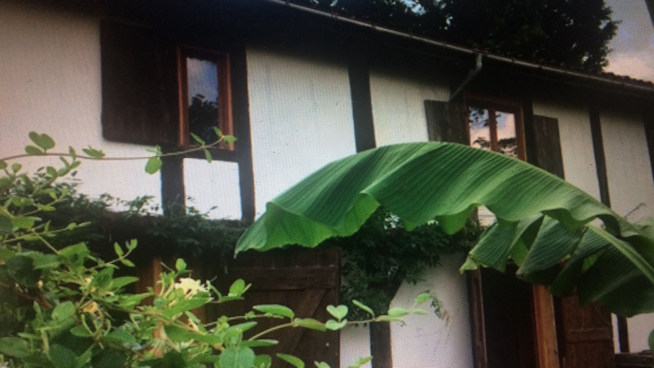 Photo of Outdoor in Castets
