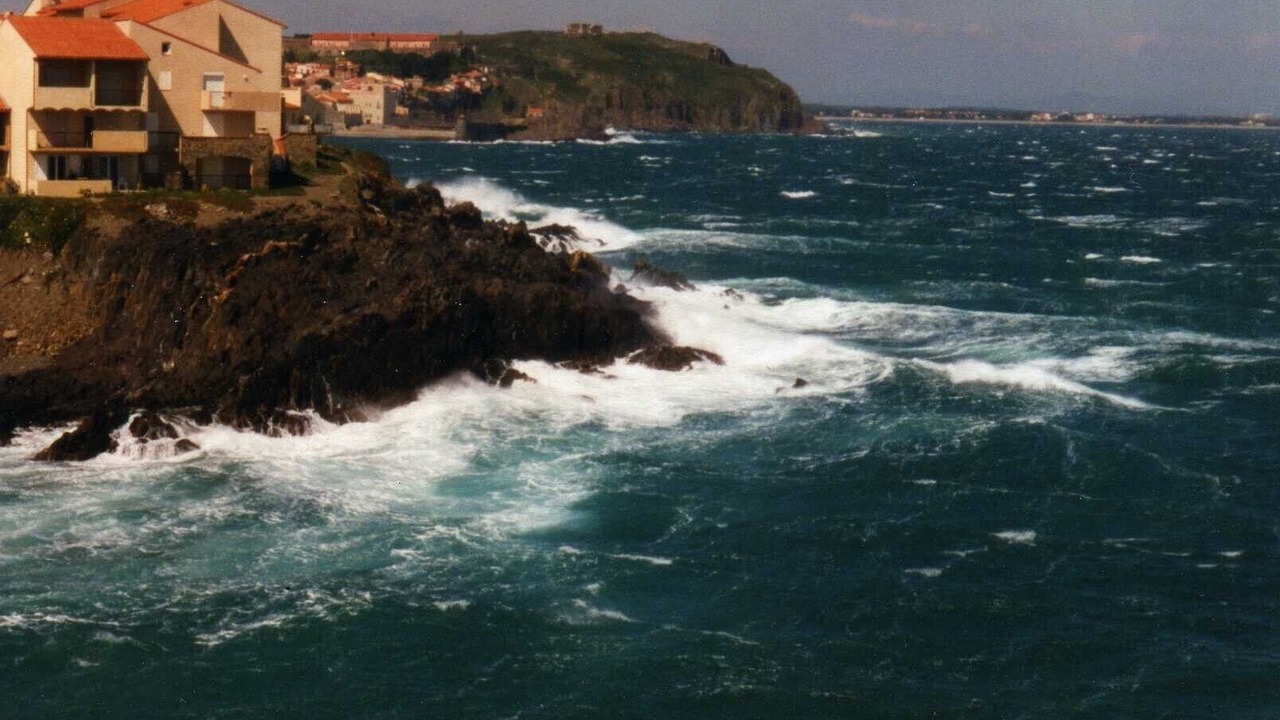 Photo of Others in Collioure