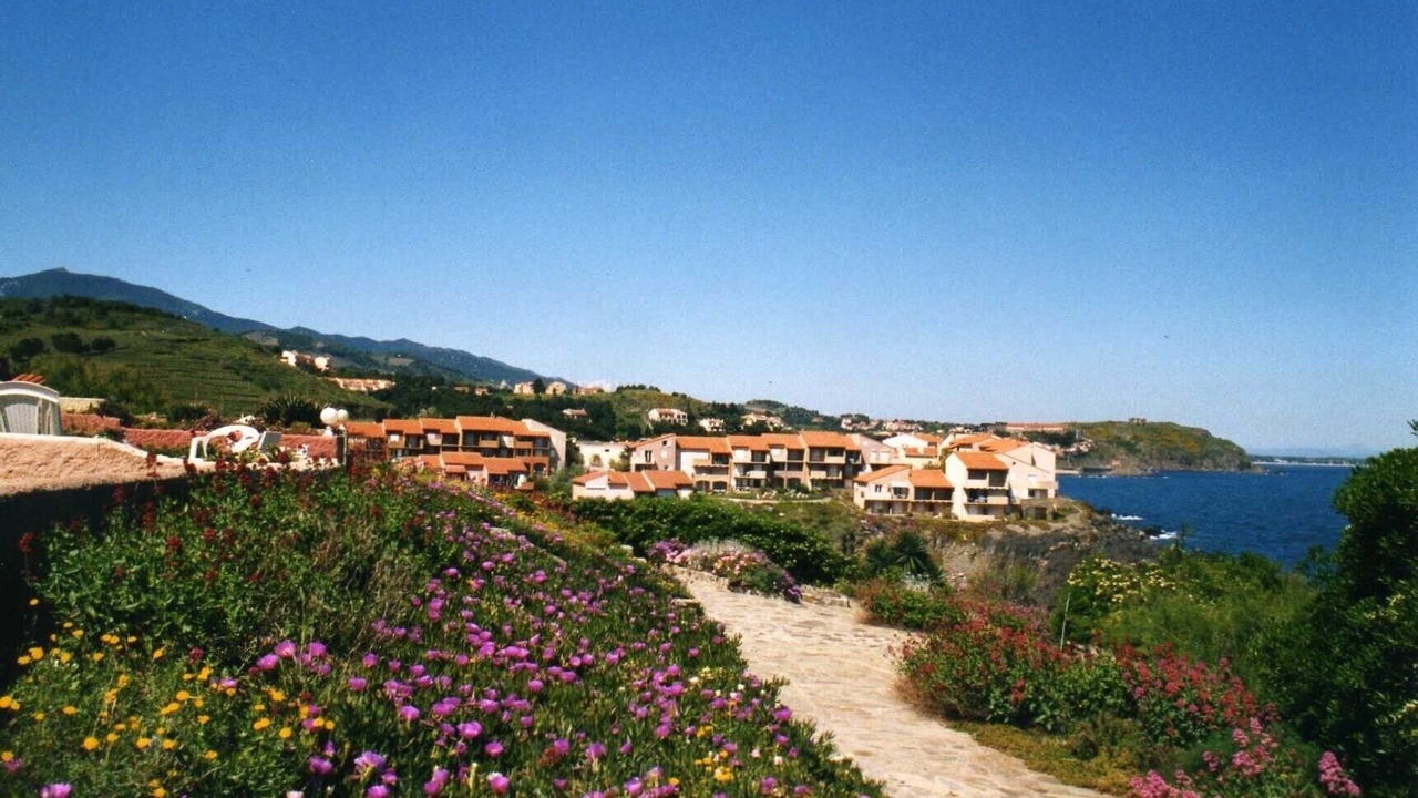 Photo of Others in Collioure