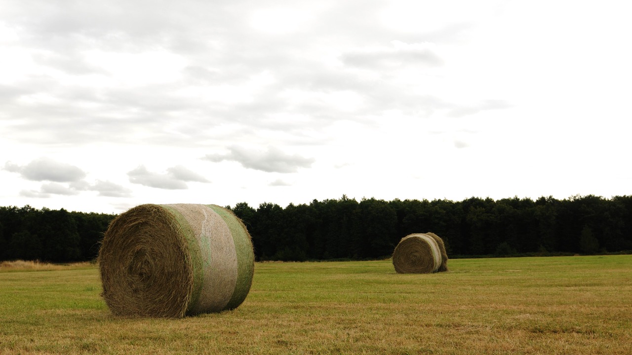 Photo of Others in Bossay-sur-Claise