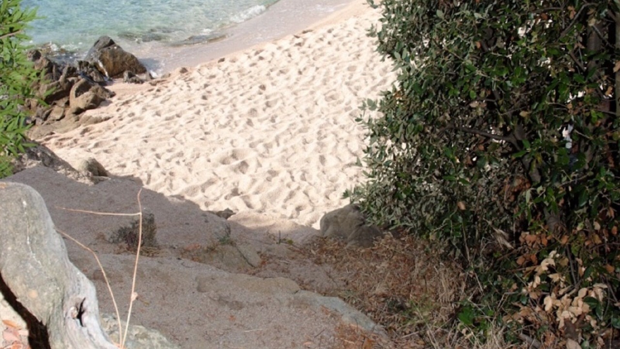 Photo of Others in Favone