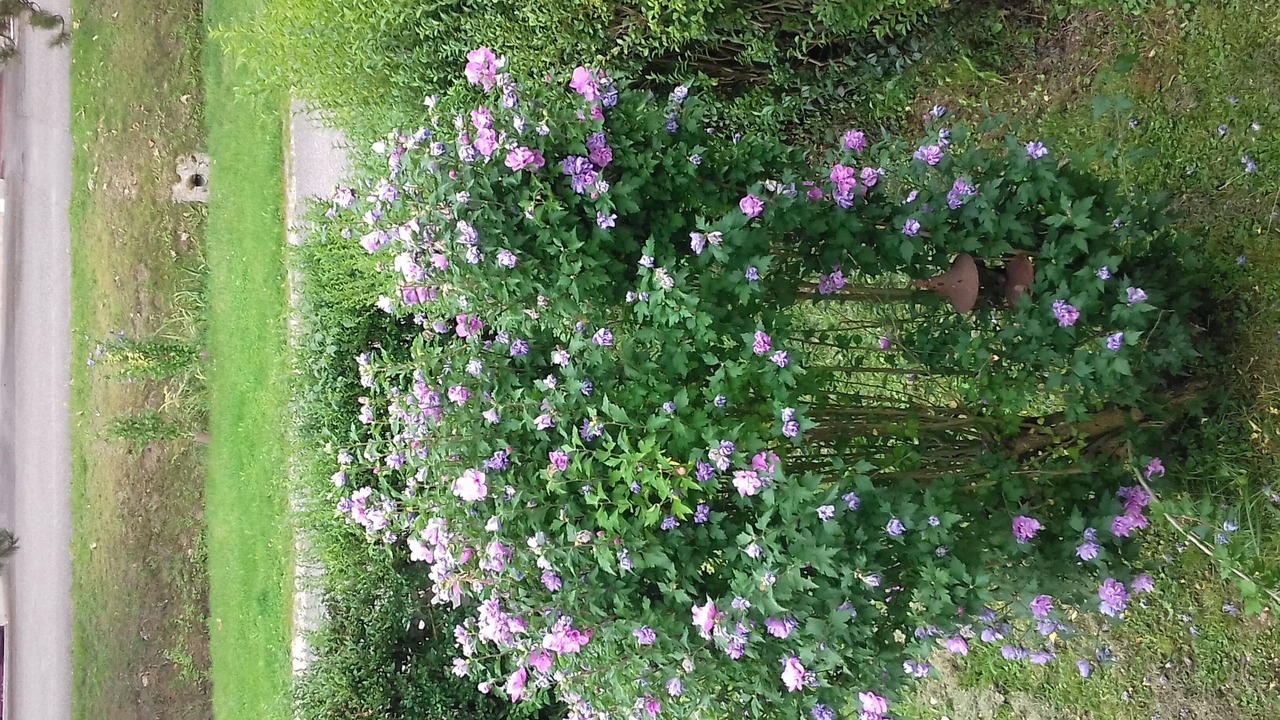 Photo of Outdoor in Moulainville