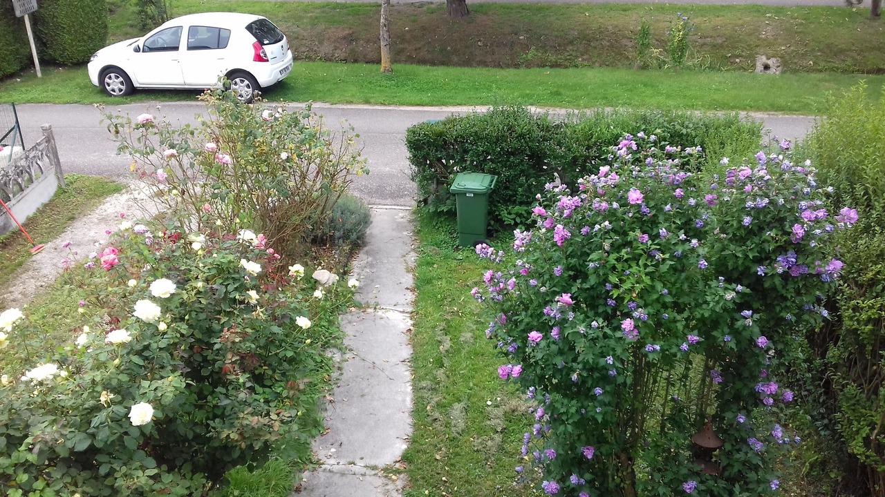 Photo of Outdoor in Moulainville