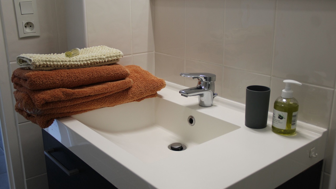 Photo of Bathroom in Le Bourget-du-Lac