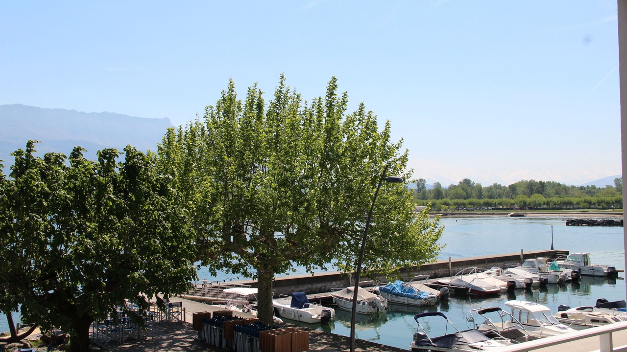 Photo of Others in Le Bourget-du-Lac