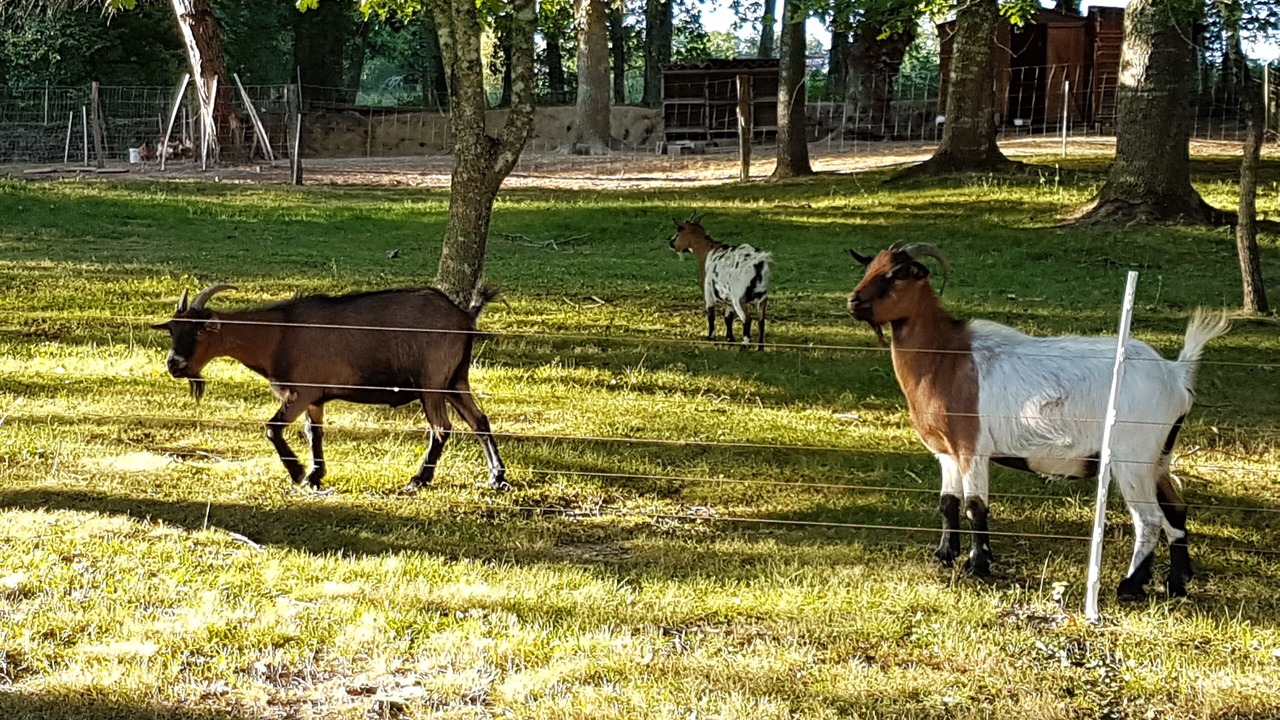 Photo of Outdoor in Lucbardez-et-Bargues