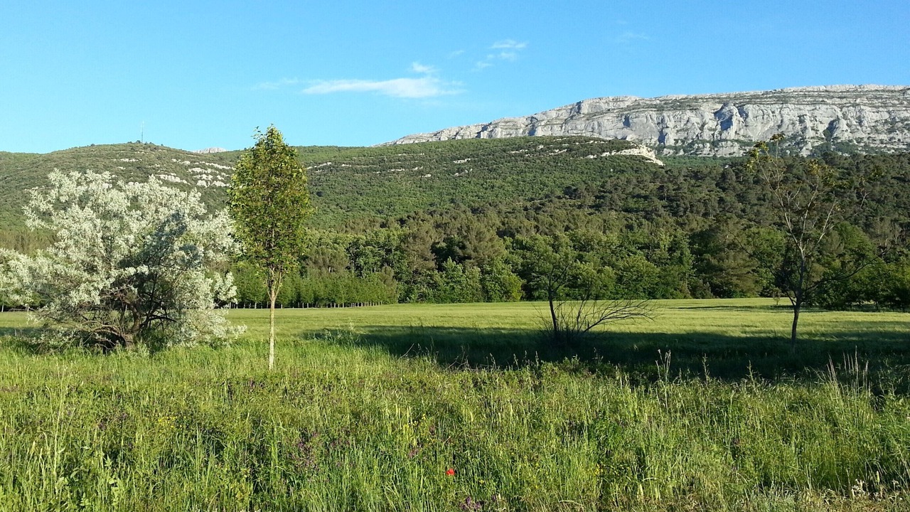 Photo of Others in Nans-les-Pins