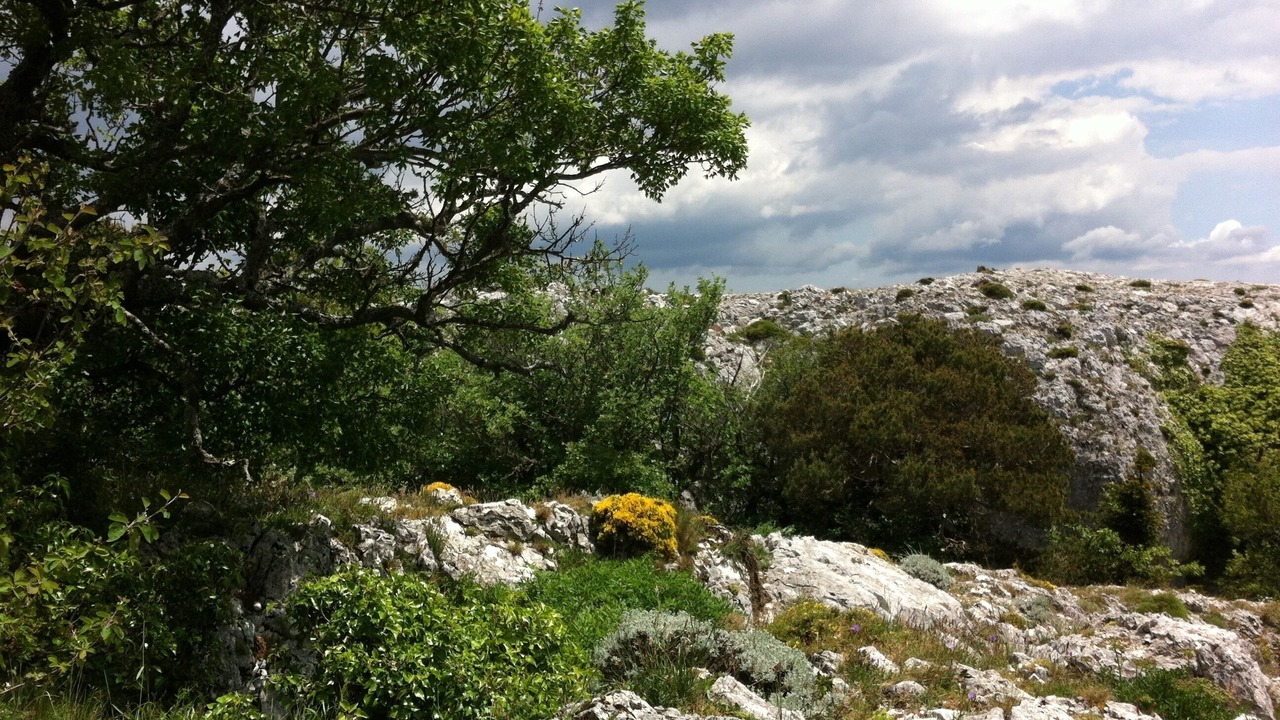 Photo of Outdoor in Nans-les-Pins