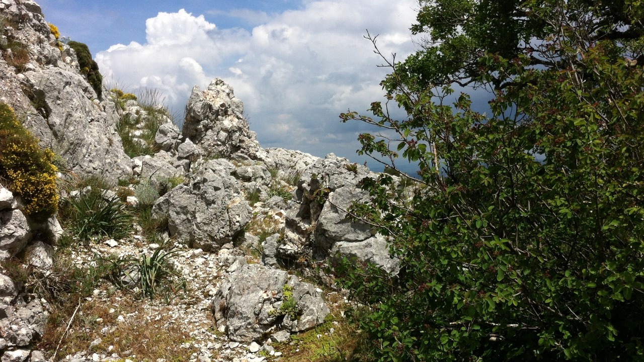 Photo of Outdoor in Nans-les-Pins