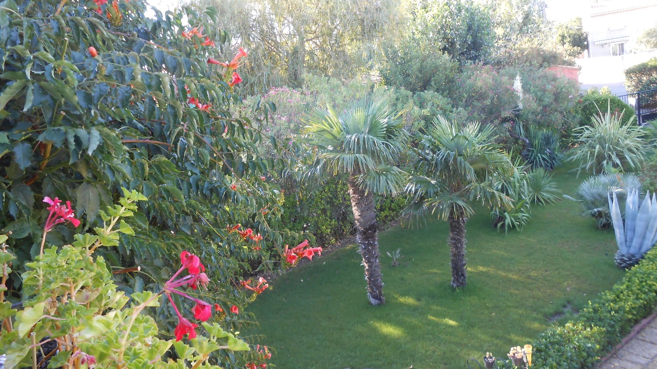 Photo of Outdoor in Coursan