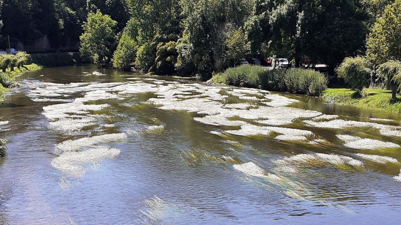 Photo of Others in Bourdeilles