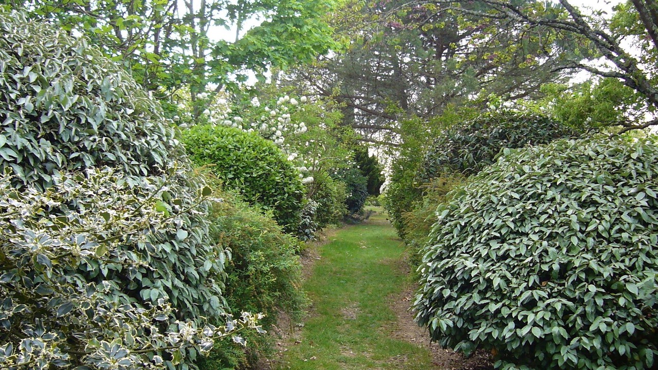 Photo of Outdoor in Marsac