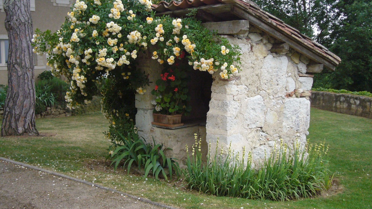 Photo of Outdoor in Marsac