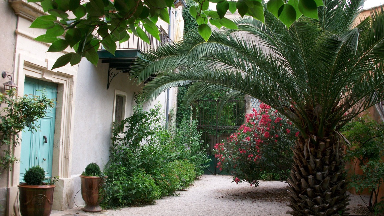 Photo of Outdoor in Fabregues