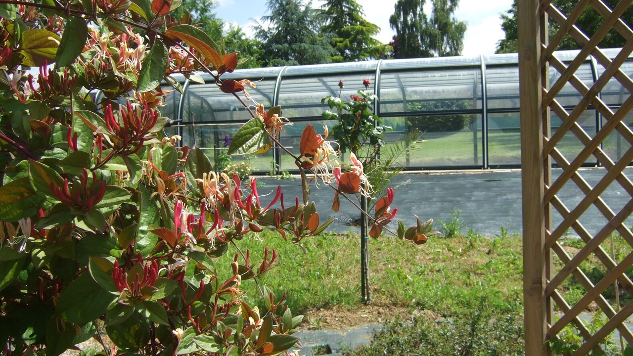 Photo of Outdoor in Talensac