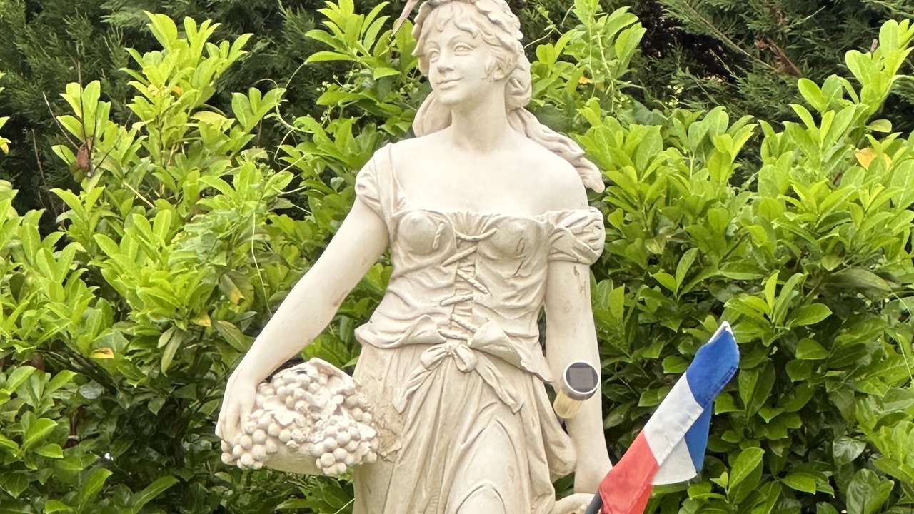 Photo of Outdoor in Toulonjac