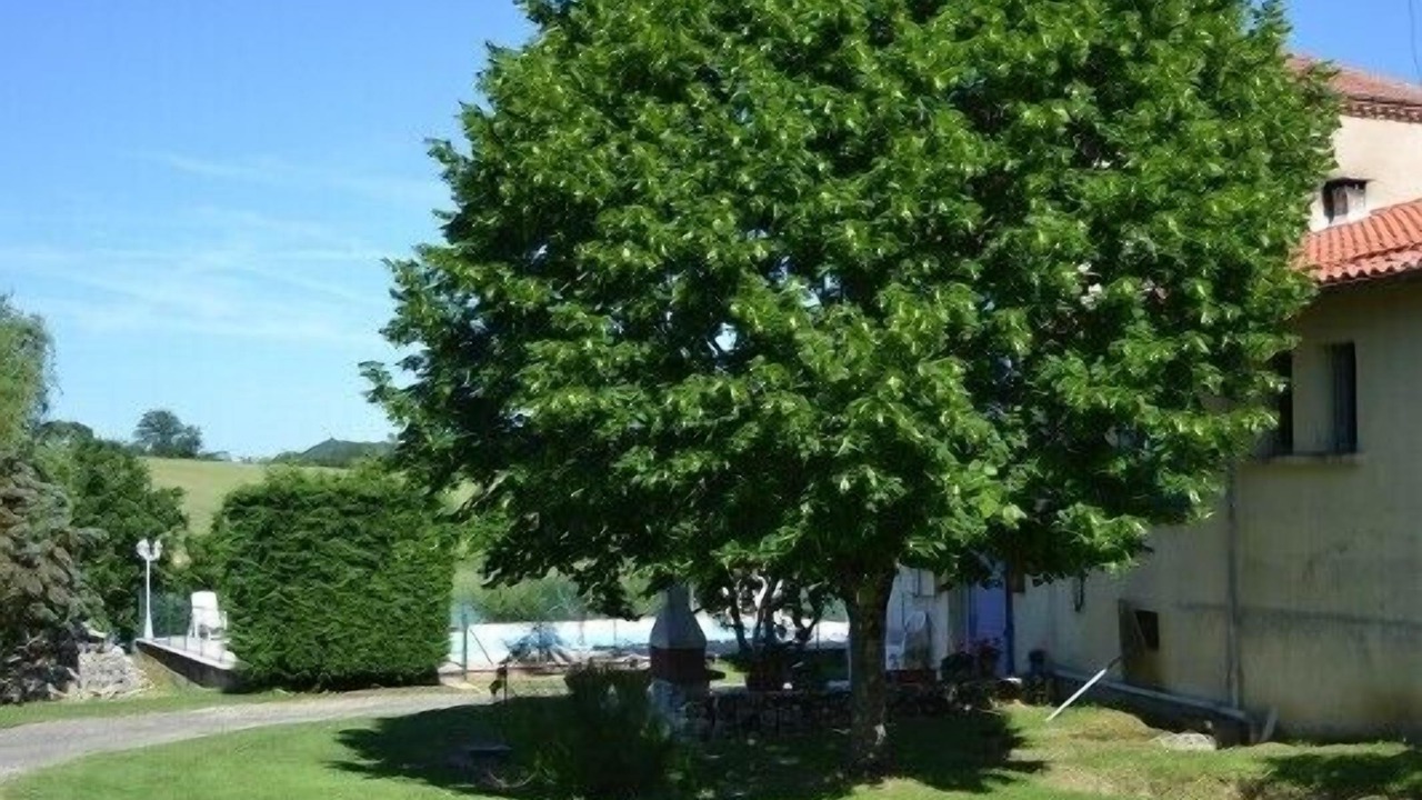 Photo of Outdoor in Blaymont
