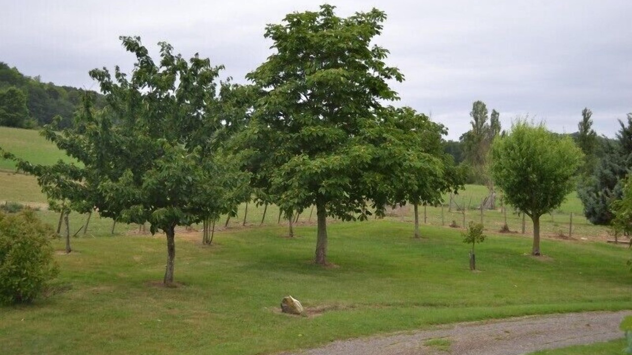 Photo of Outdoor in Blaymont