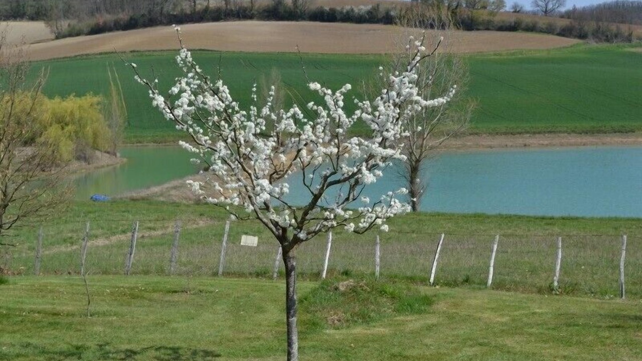 Photo of Outdoor in Blaymont