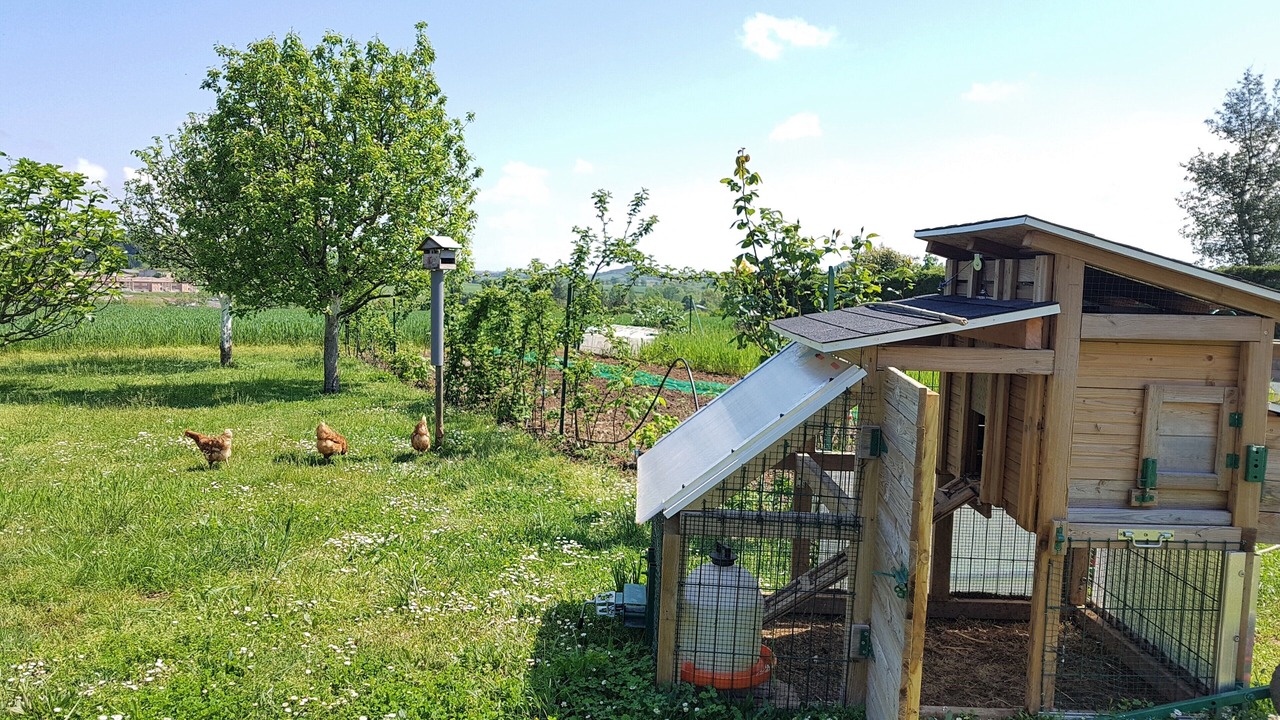 Photo of Outdoor in Puygouzon