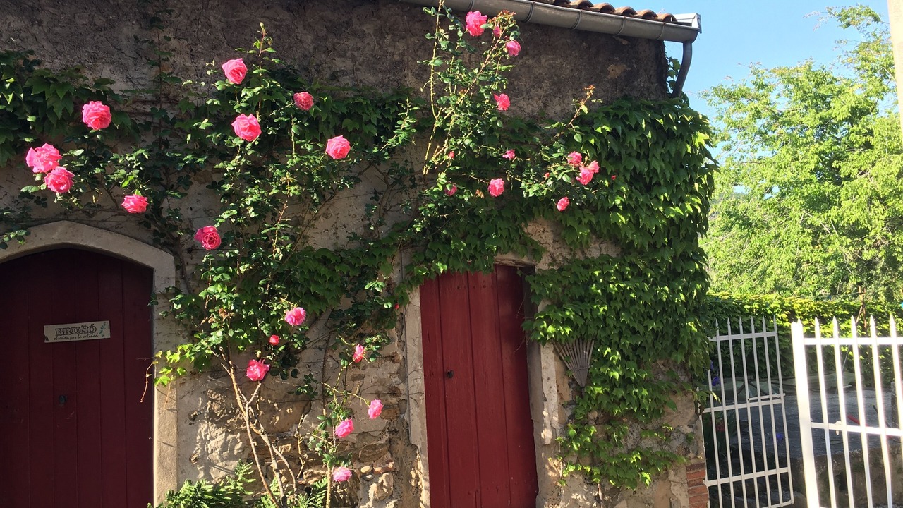 Photo of Outdoor in Andancette