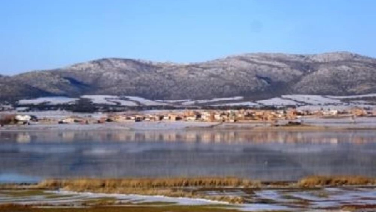 Photo of Others in Gallocanta
