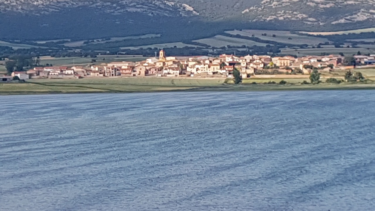 Photo of Others in Gallocanta