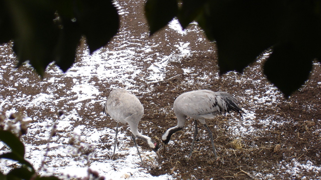 Photo of Outdoor in Gallocanta