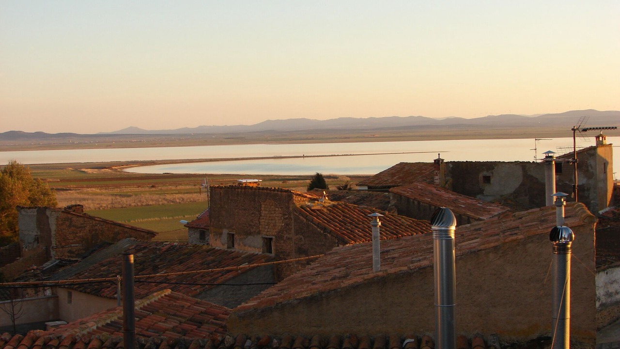 Photo of Others in Gallocanta