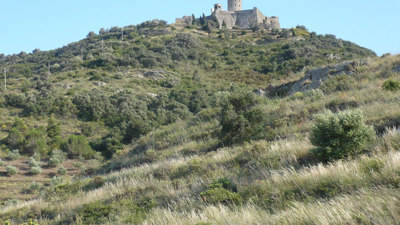 Photo of Outdoor in Collioure