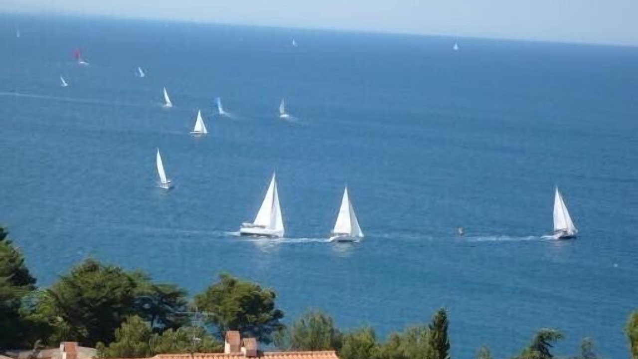 Photo of Outdoor in Collioure