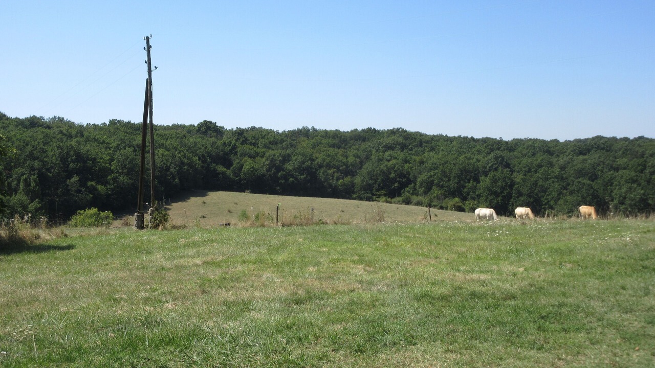Photo of Outdoor in Montdurausse