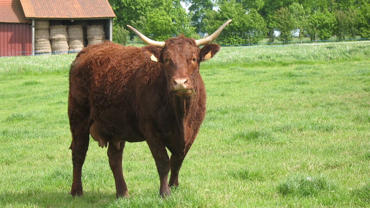 Photo of Outdoor in Varneville-Bretteville