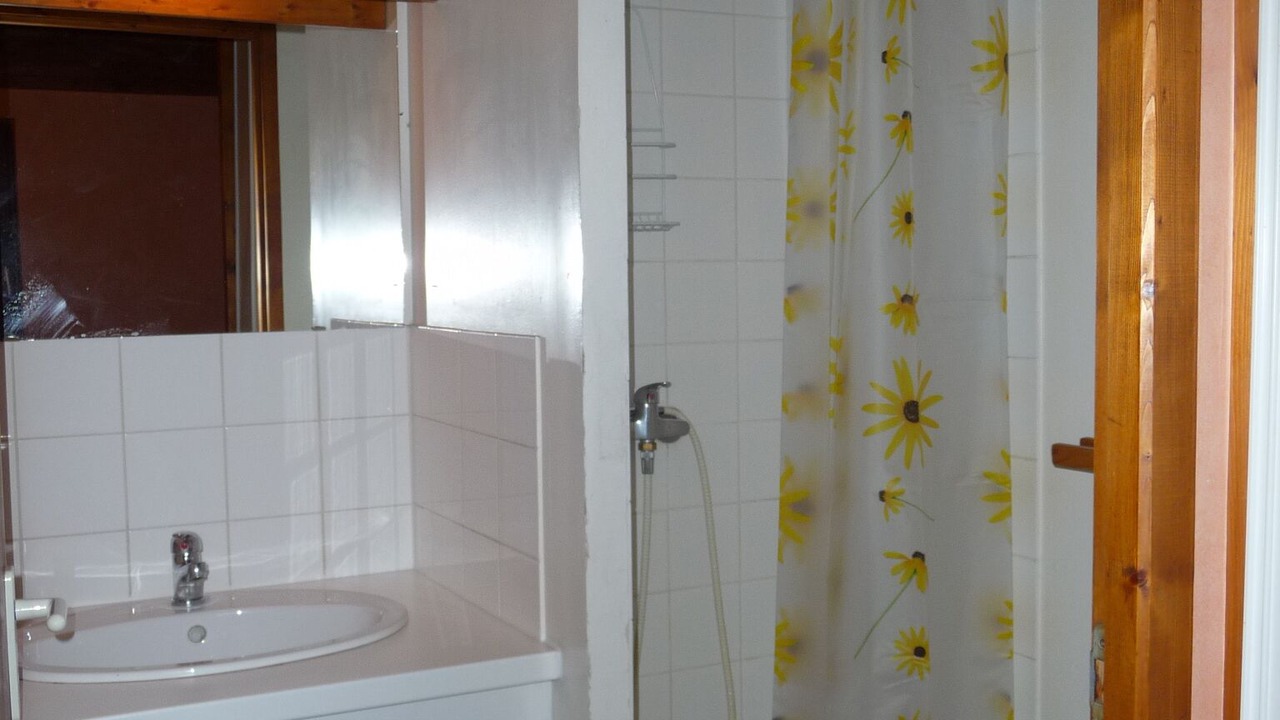 Photo of Bathroom in Aragnouet