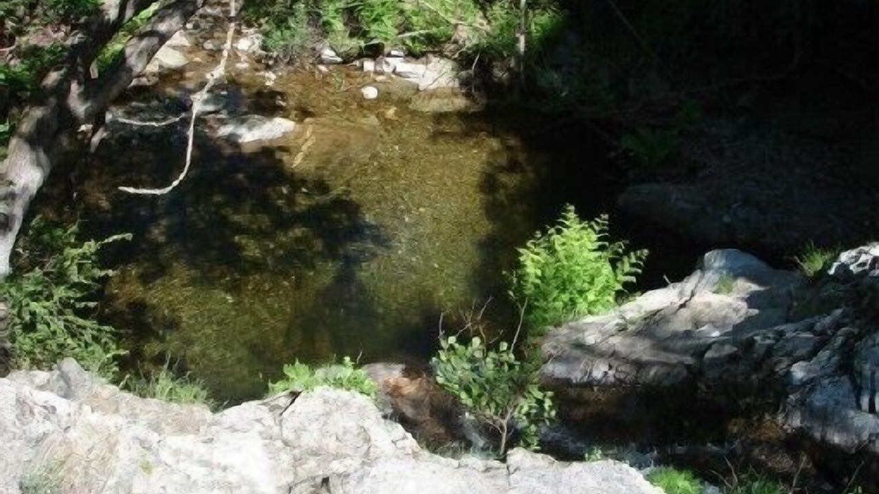Photo of Outdoor in Saint-Melany