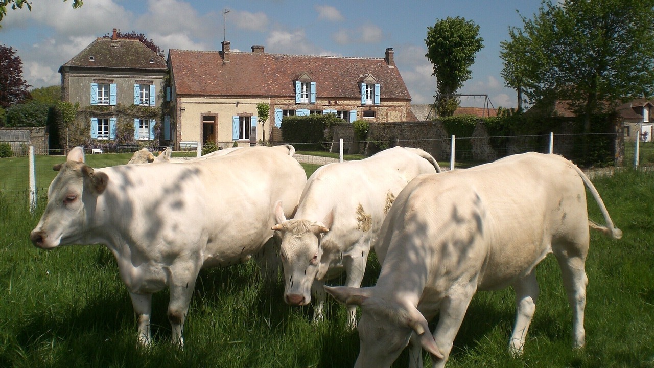Photo of Outdoor in La Chapelle-Fortin