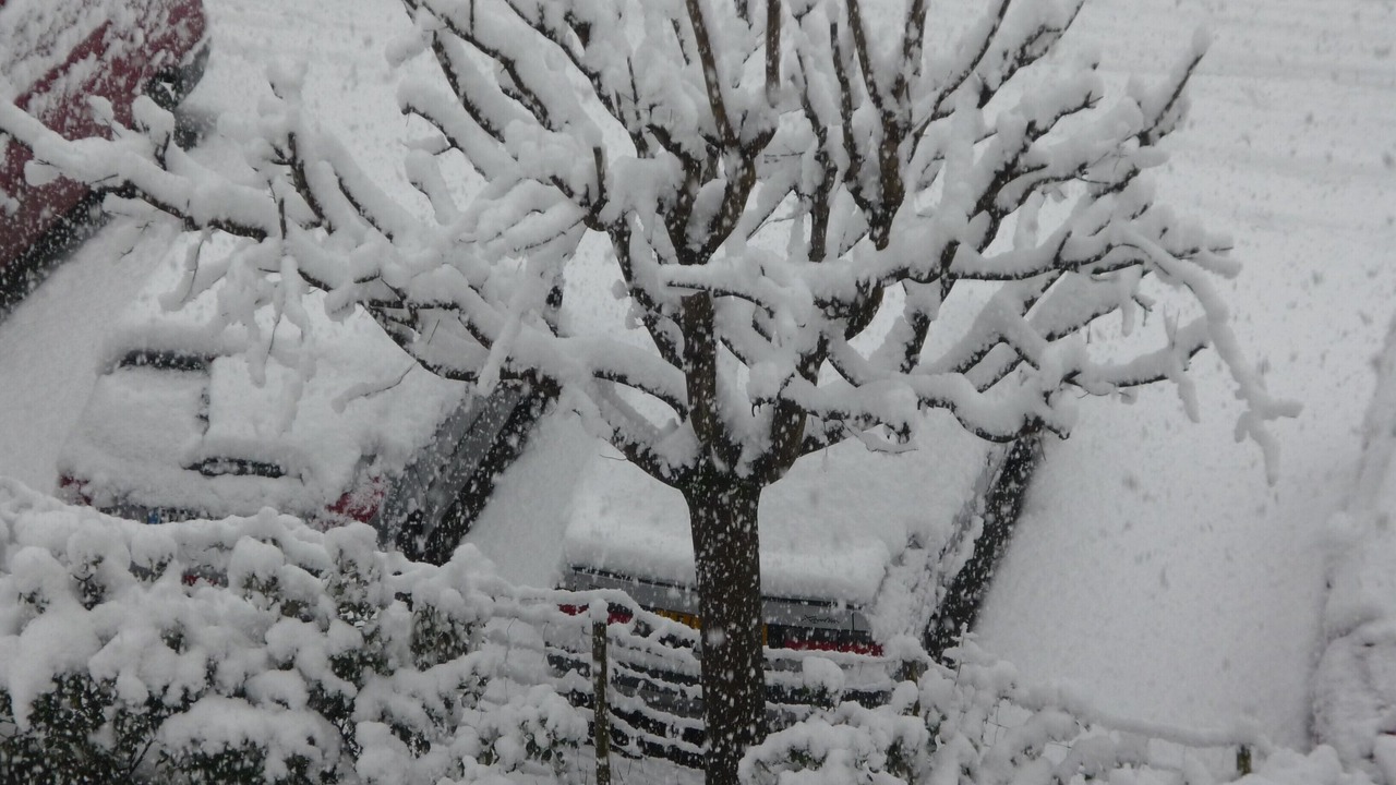 Photo of Outdoor in Saint-Lary-Soulan