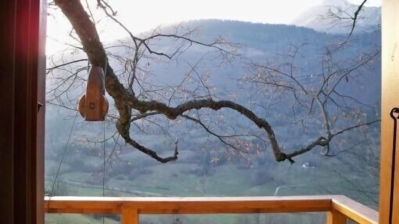 Photo of Outdoor in Ecole