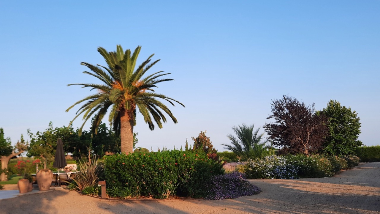 Photo of Outdoor in Montbrio del Camp