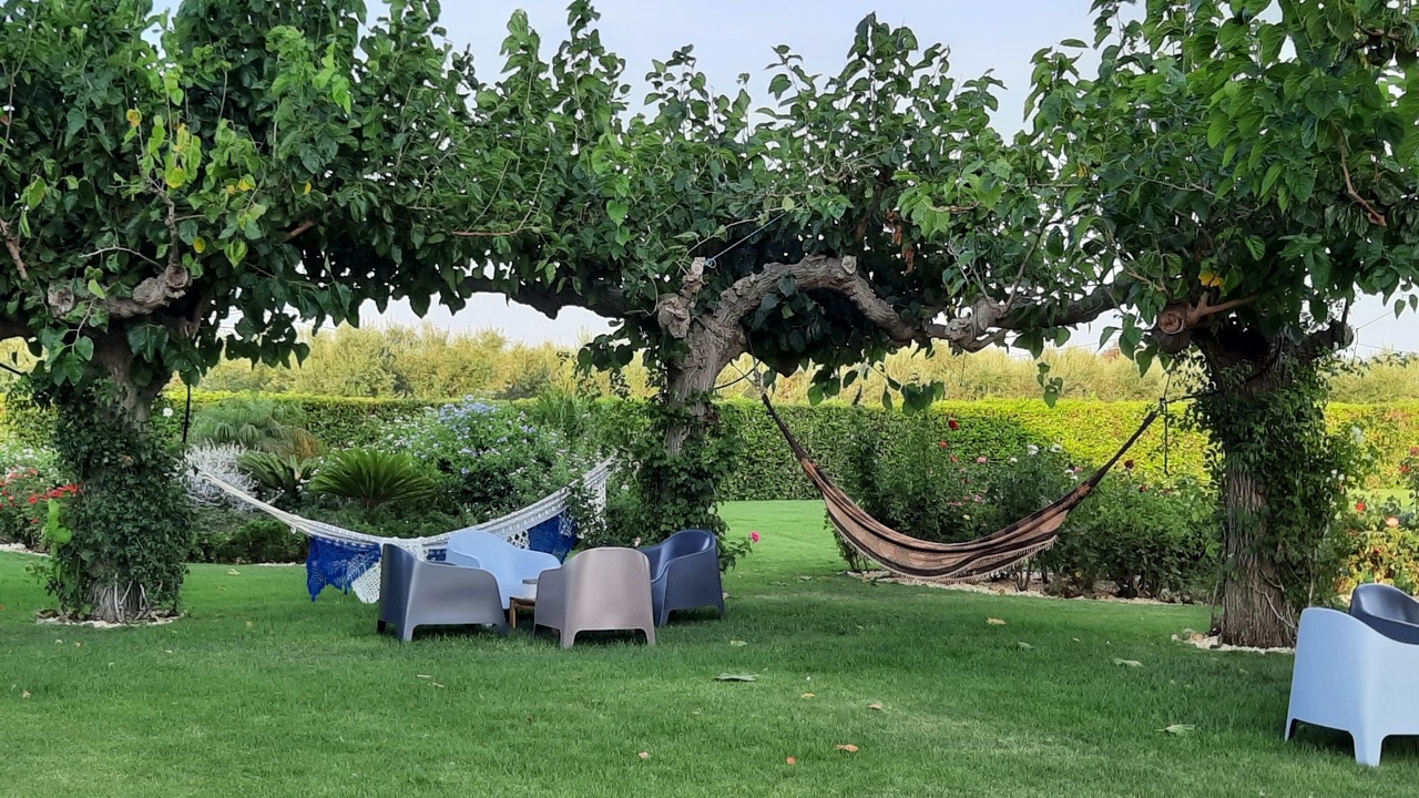 Photo of Outdoor in Montbrio del Camp