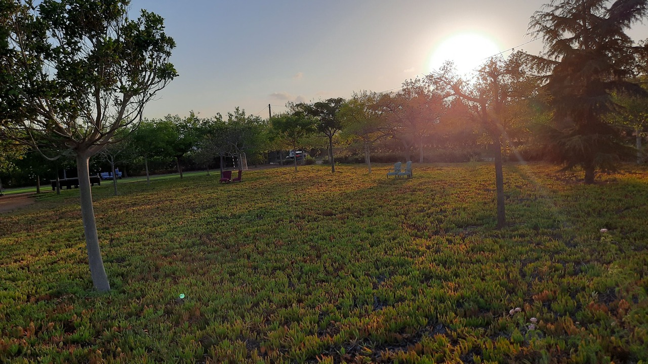 Photo of Outdoor in Montbrio del Camp