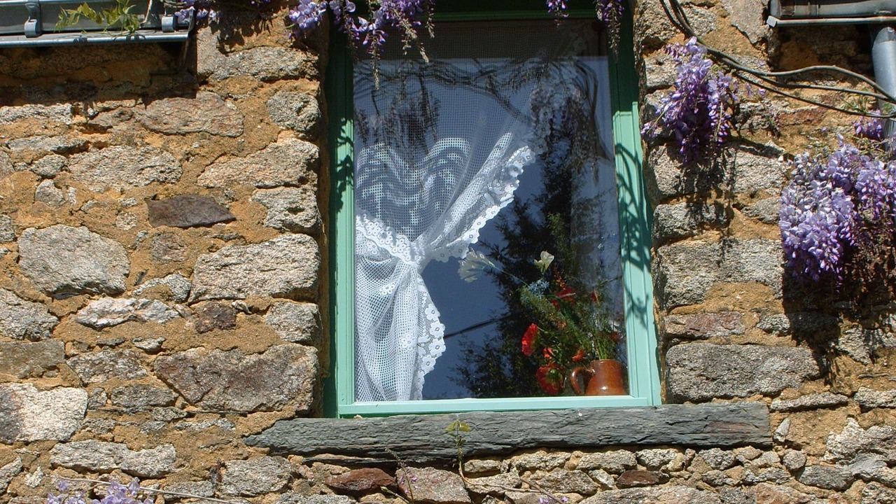 Photo of Others in Saint-Dolay