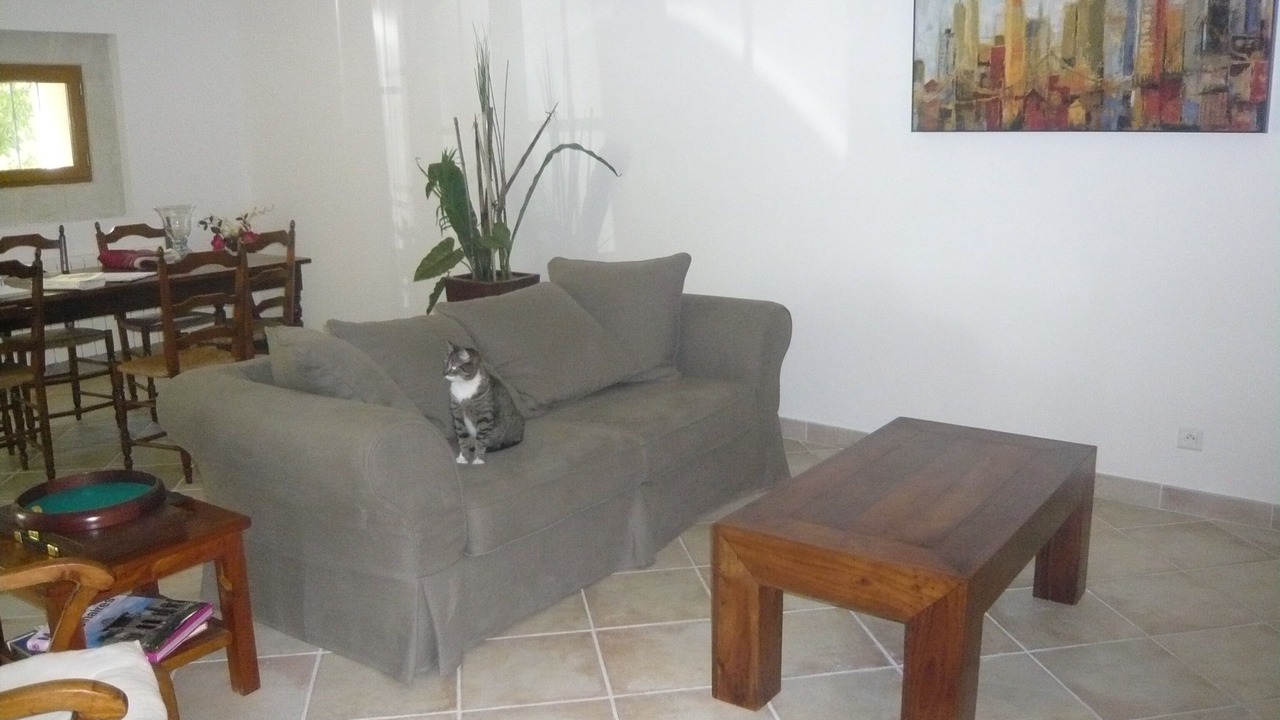 Photo of Livingroom in Mornas