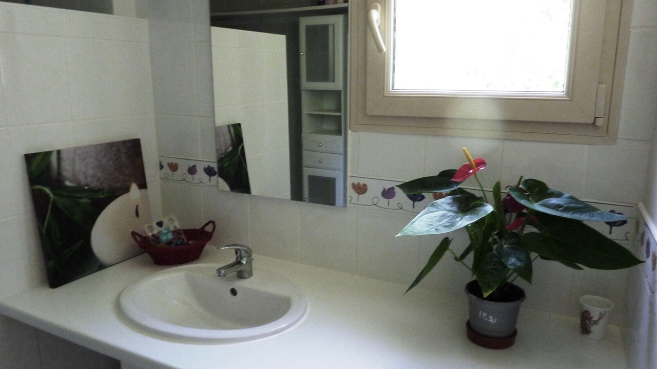Photo of Bathroom in Loubressac