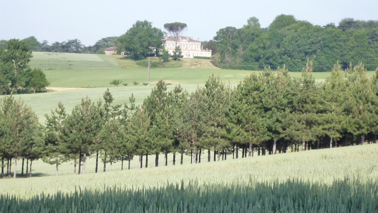 Photo of Outdoor in Tombeboeuf