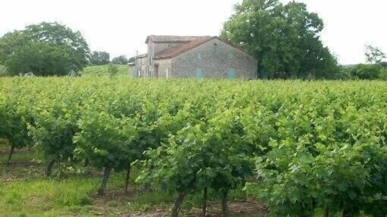 Photo of Outdoor in Ribaute-les-Tavernes