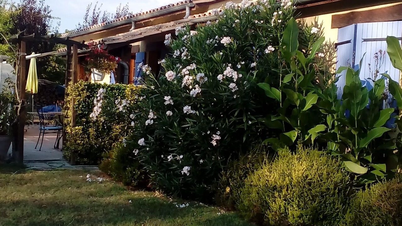 Photo of Outdoor in Cahuzac