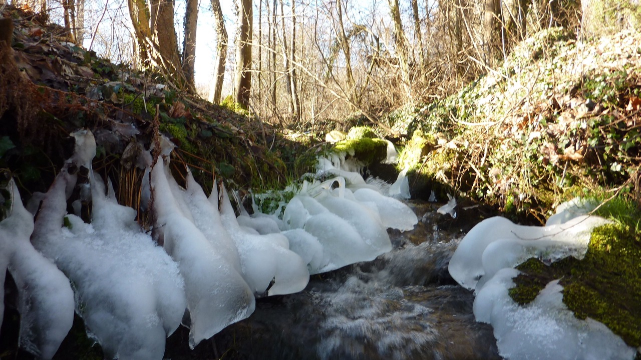 Photo of Outdoor in Saint-Genes-Champanelle