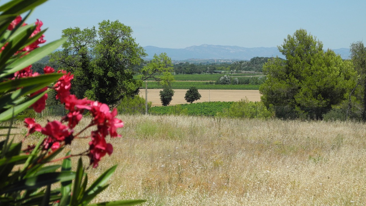 Photo of Others in Castelnau-de-Guers